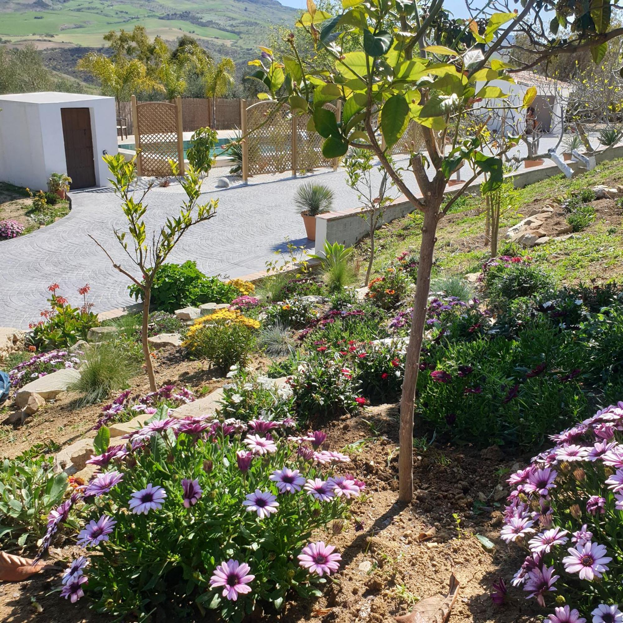 Finca Altozano - Private Pool - Unique Client Valle de Abdalagis Luaran gambar